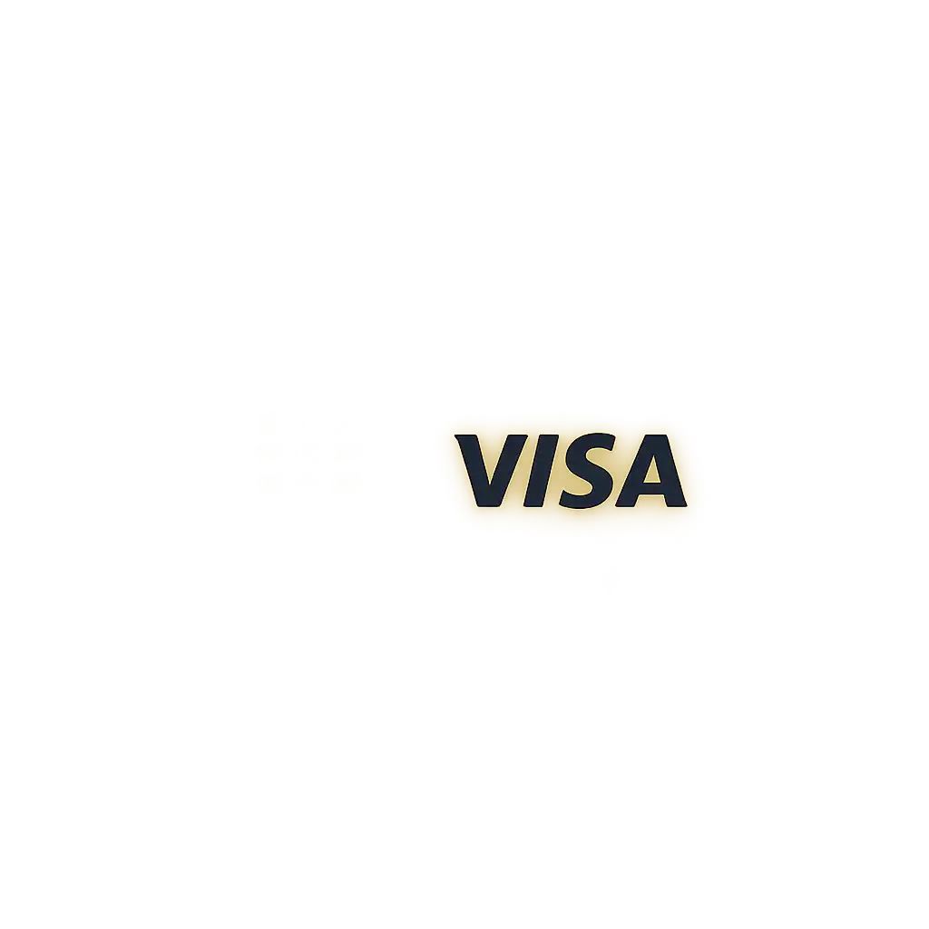 Visa card icon